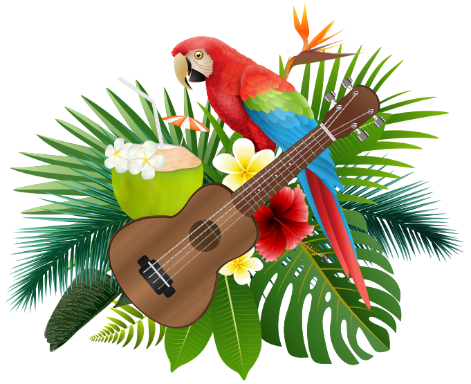 graphic with bird, guitar and coconut