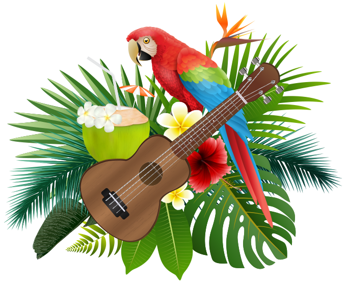 tropical bird, tropical drink, ukulele, tropical flowers, implying fun, gratitude in B2B marketing collateral