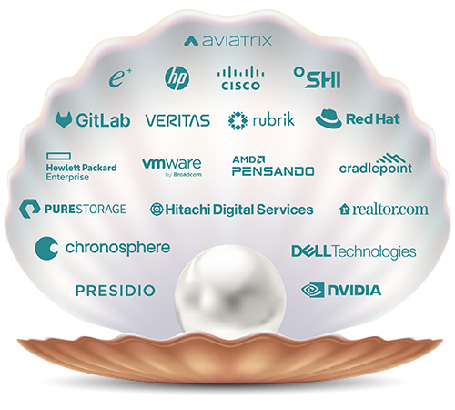 a shell with a listing of companies such as Veritas, Cisco, VMware and Dell