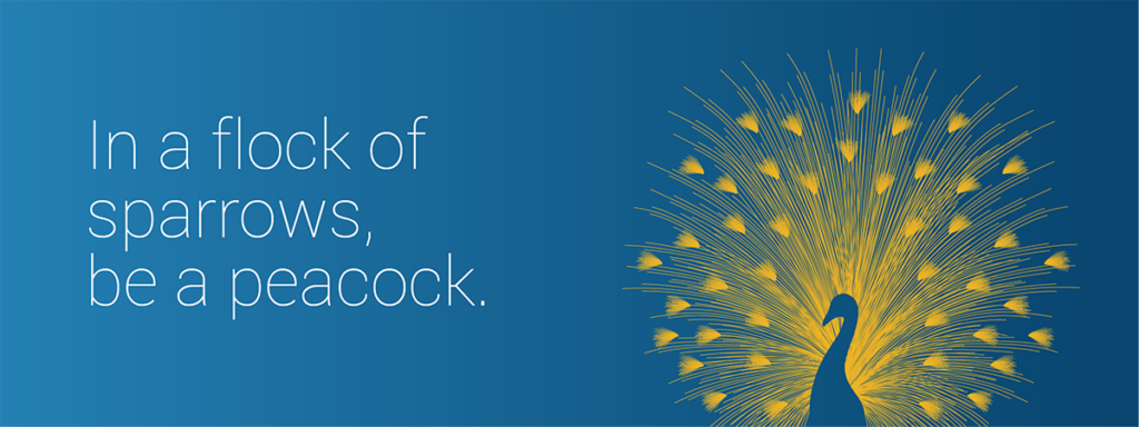 Header image that shows a peacock and says "in a flock of sparrows, be a peacock"