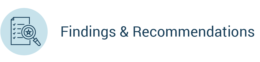 Finding and recommendations and icon